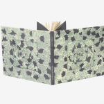 Morin-Lucie-